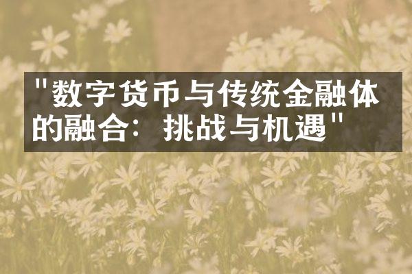 "数字货币与传统金融体系的融合：挑战与机遇"