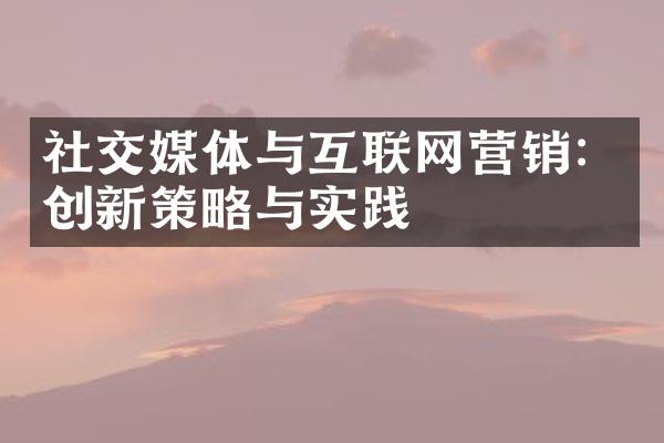 社交媒体与互联网营销：创新策略与实践