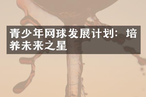 青少年网球发展计划：培养未来之星