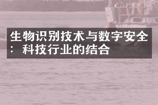 生物识别技术与数字安全：科技行业的结合