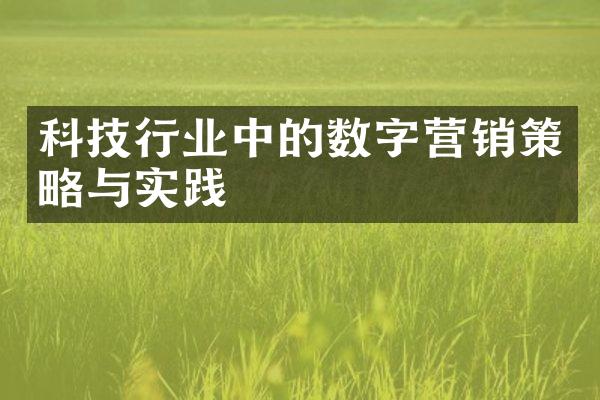 科技行业中的数字营销策略与实践