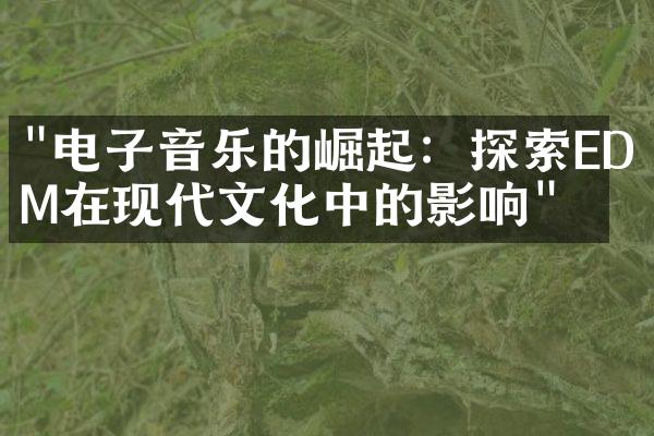 "电子音乐的崛起：探索EDM在现代文化中的影响"