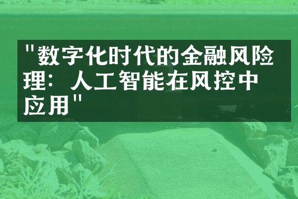 "数字化时代的金融风险管理：人工智能在风控中的应用"