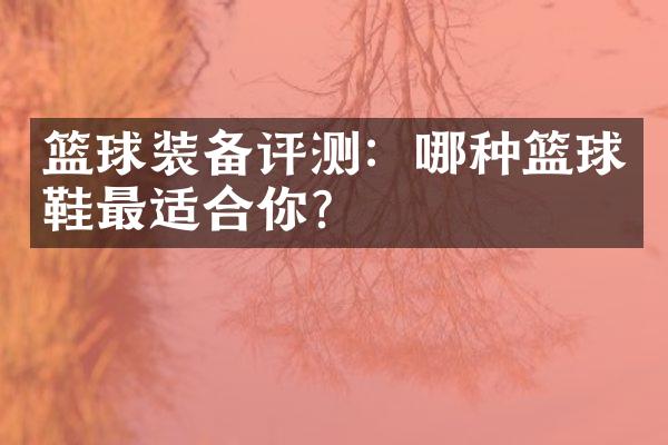 篮球装备评测：哪种篮球鞋最适合你？