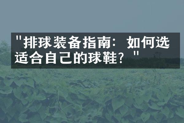 "排球装备指南：如何选择适合自己的球鞋？"