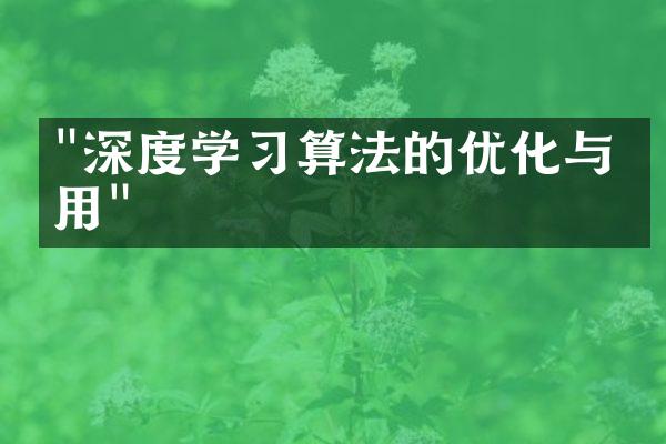 "深度学习算法的优化与应用"