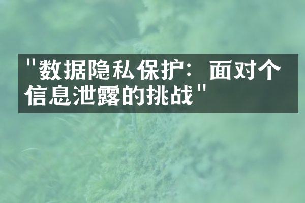 "数据隐私保护：面对个人信息泄露的挑战"