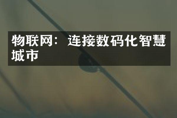 物联网：连接数码化智慧城市