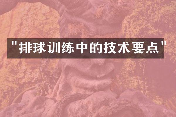 "排球训练中的技术要点"