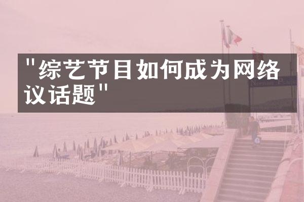 "综艺节目如何成为网络热议话题"