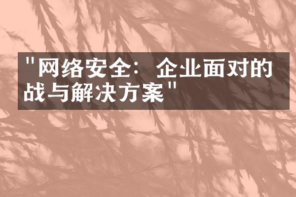 "网络安全：企业面对的挑战与解决方案"