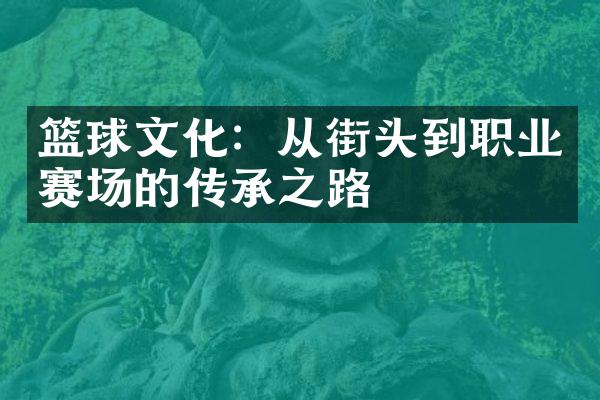 篮球文化：从街头到职业赛场的传承之路