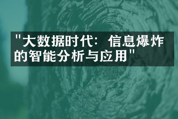 "大数据时代：信息爆炸下的智能分析与应用"