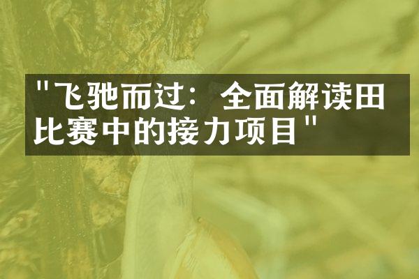 "飞驰而过：全面解读田径比赛中的接力项目"