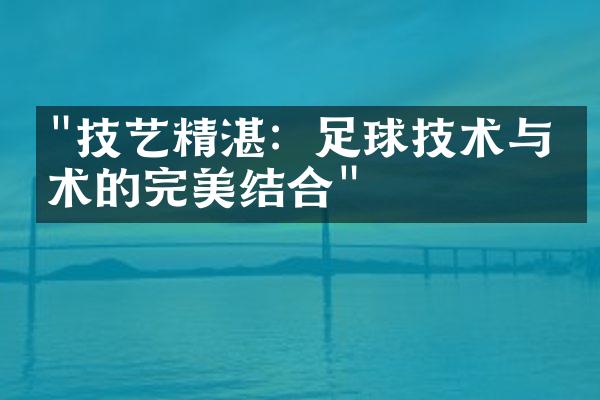 "技艺精湛：足球技术与战术的完美结合"