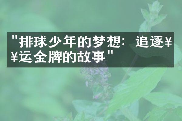 "排球少年的梦想：追逐奥运金牌的故事"