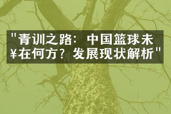 "青训之路：中国篮球未来在何方？发展现状解析"