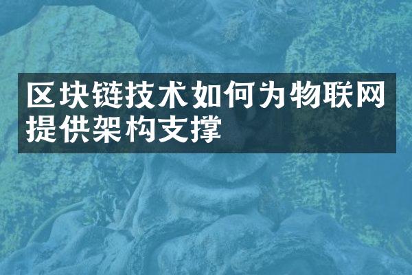 区块链技术如何为物联网提供架构支撑