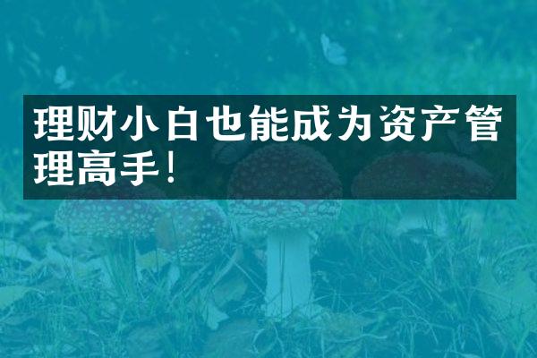 理财小白也能成为资产管理高手！