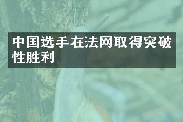 选手在法网取得突破性胜利