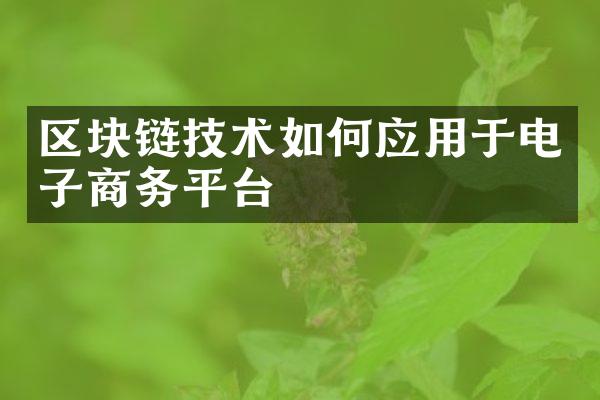 区块链技术如何应用于电子商务平台