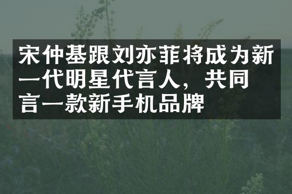 宋仲基跟刘亦菲将成为新一代明星代言人，共同代言一款新手机品牌