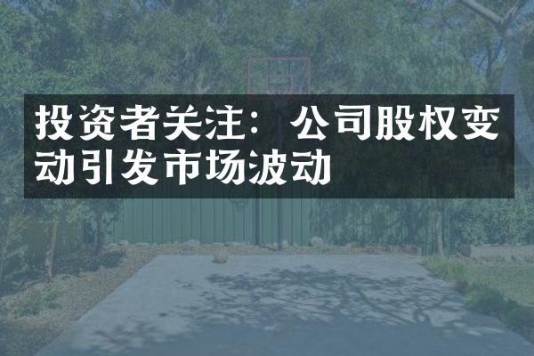 投资者关注：公司股权变动引发市场波动