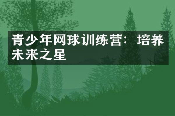 青少年网球训练营：培养未来之星