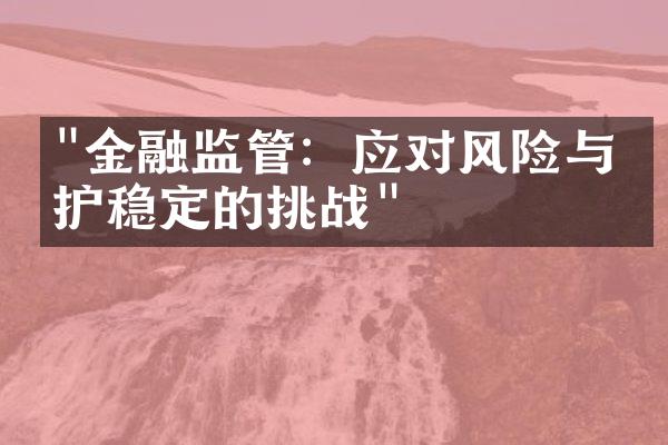 "金融监管：应对风险与维护稳定的挑战"