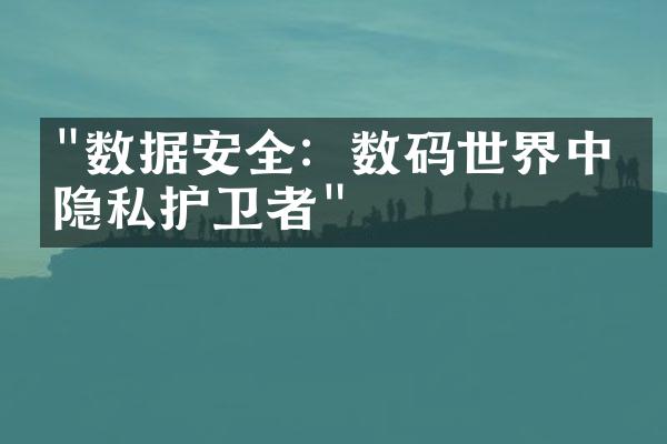 "数据安全：数码世界中的隐私护卫者"