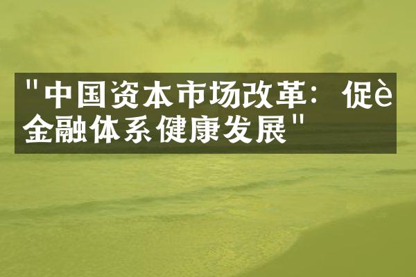 "中国资本市场改革：促进金融体系健康发展"