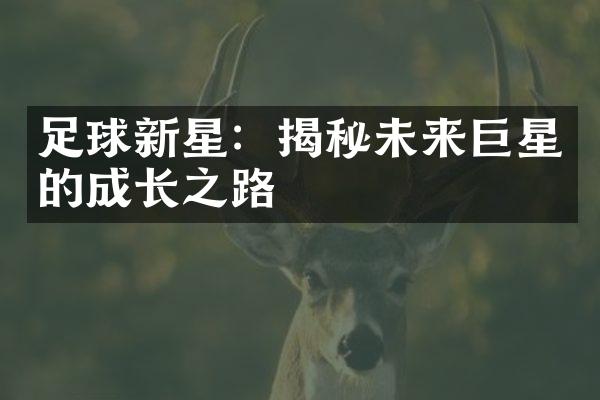 足球新星：揭秘未来巨星的成长之路