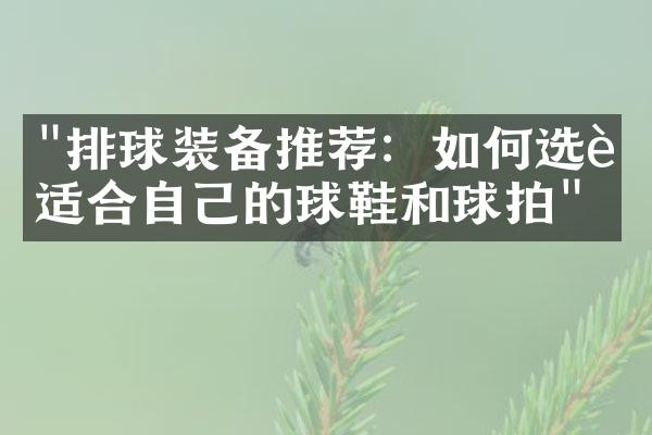 "排球装备推荐：如何选购适合自己的球鞋和球拍"