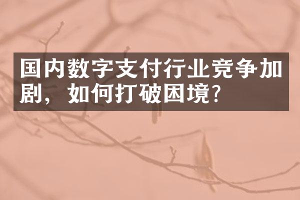 国内数字支付行业竞争加剧，如何打破困境？