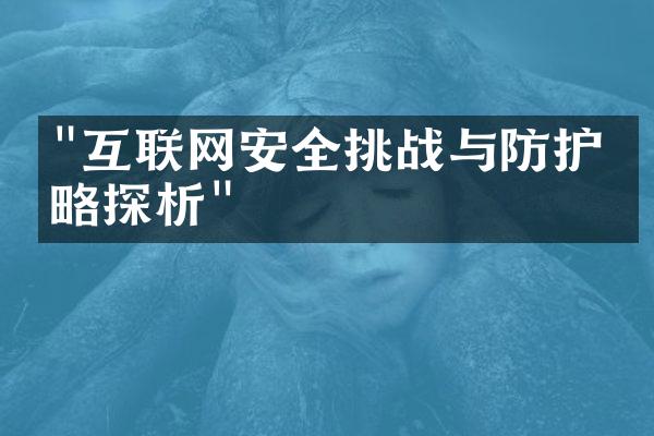 "互联网安全挑战与防护策略探析"