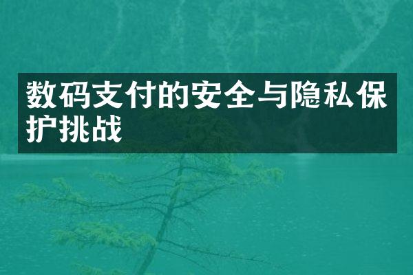 数码支付的安全与隐私保护挑战