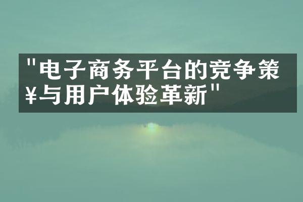 "电子商务平台的竞争策略与用户体验革新"