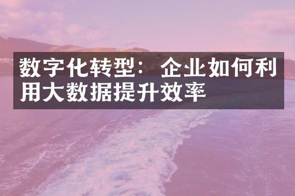 数字化转型：企业如何利用大数据提升效率