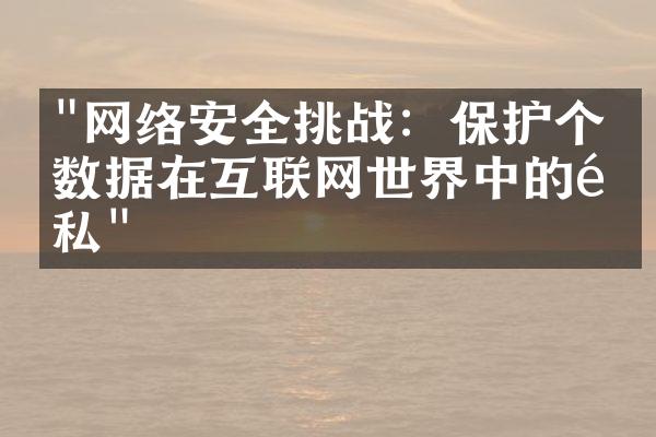 "网络安全挑战：保护个人数据在互联网世界中的隐私"