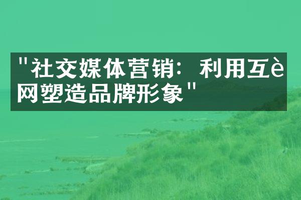 "社交媒体营销：利用互联网塑造品牌形象"