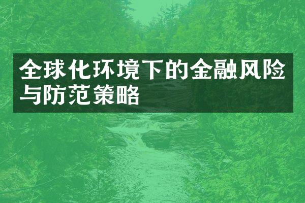 全球化环境下的金融风险与防范策略