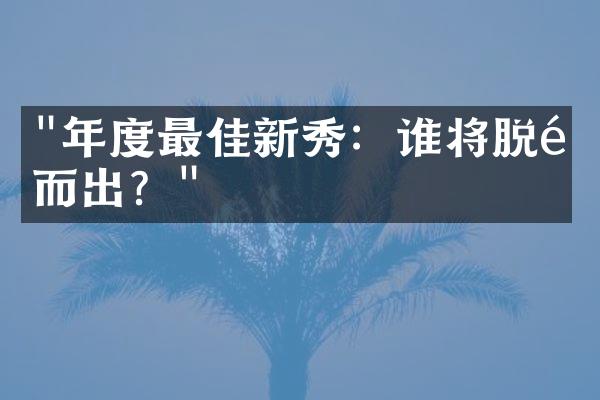 "年度最佳新秀：谁将脱颖而出？"