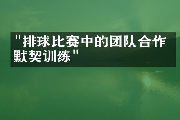 "排球比赛中的团队合作与默契训练"