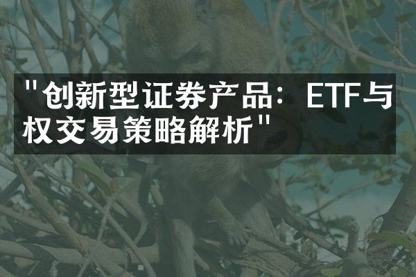 "创新型证券产品：ETF与期权交易策略解析"