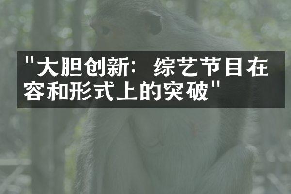 "大胆创新：综艺节目在内容和形式上的突破"