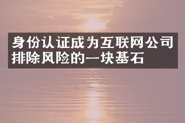 身份认证成为互联网公司排除风险的一块基石