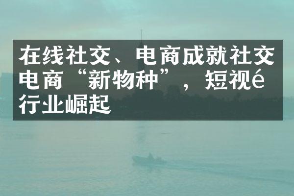 在线社交、电商成就社交电商“新物种”，短视频行业崛起