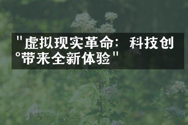 "虚拟现实革命：科技创新带来全新体验"