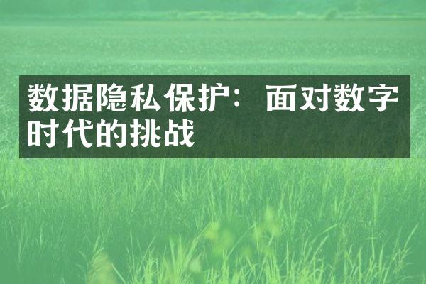 数据隐私保护：面对数字时代的挑战