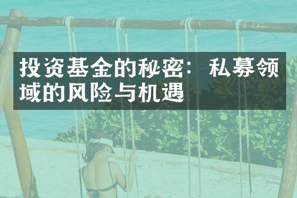 投资基金的秘密：私募领域的风险与机遇